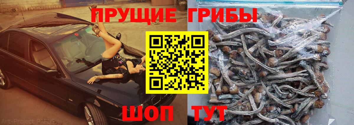 Галлюциногенные грибы мухоморы  Вход с VPN  Псилоцибиновые грибы мицелий  Кандалакша 